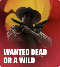 Wanted Dead or a Wild thumbnail
